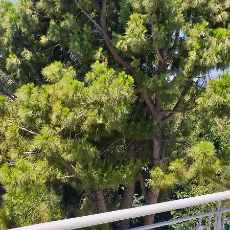 Ξενοδοχείο με διαμερίσματα Alexia's